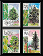4135/ Carte Maximum (card) France N°2384/2387 Fleurs (plants - Flowers) De France 1985 Arbres Trees - Trees