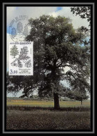 4019/ Carte Maximum (card) France N°2386 Fleurs Flowers Et Faune De France. Quercus Pedunculata Edition Jacana Fdc 1983 - 1980-1989