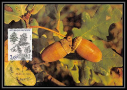 4018/ Carte Maximum (card) France N°2386 Fleurs Flowers Et Faune De France. Quercus Pedunculata Edition Jacana Fdc 1983 - 1980-1989