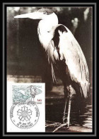 3861/ Carte Maximum (card) France N°2146 Espace Littoral Oiseaux (birds) Héron Fdc Edition Cef 1981  - 1980-1989