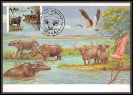 3586c Brésil (brazil) - Carte Maximum (card) Faune Animals Buffles Buffalo Oiseaux (birds)  - Kühe
