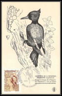 3567 Argentine (Argentina) Carte Maximum (card) Pic Vert Woodpecker Carpintero De Patagonia Fdc 6/2/1960 - Climbing Birds