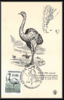 3564 Argentine (Argentina) Carte Maximum (card) Autruche Oiseaux (bird Birds Oiseau) 1960 Ostrich - Straussen- Und Laufvögel