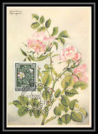 5510/ Carte Maximum (card) Autriche (osterreich) N°728 èglantine Fleurs (plants - Flowers) 26/10/1954 - Autres & Non Classés