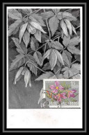 5512/ Carte PHOTO Maximum (card) Autriche (osterreich) N°985 Clématites Fleurs (plants - Flowers)  - Maximumkaarten
