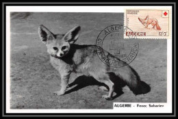 5518/ Carte Photo Maximum (card) Algérie N°344 Fenec Sharien Fox Renard 4/6/1952 Fdc Premier Jour Croix Rouge Red Cross  - Brieven En Documenten