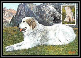 5193/ Carte Maximum (card) France N°3285 Chiens (dogs) De France. Le Montagne Des Pyrénées édition Cef Fdc 1999 - 1990-1999