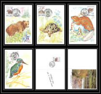 4626/ Carte Maximum (card) France N°2721/2724 Animaux De France 1991 Ours/tortue/castor/martin Pecheur  - 1990-1999