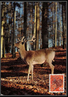 Suisse (Swiss) Carte Maximum (card) 1641 - N° 761 CERF Dear Animal 1965 - Cartes-Maximum (CM)