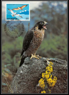 San Marin (san Marino) - Carte Maximum (card) 2234 FAUCON Falcon Oiseaux (bird Birds) Rapace 1978 - Arends & Roofvogels