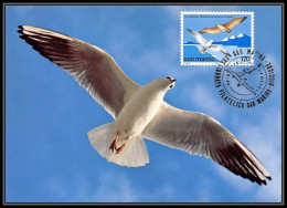San Marin (san Marino) - Carte Maximum (card) 2211 MOUETTE Oiseaux (bird Birds) Larus Seagull 1978 - Mouettes