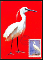 Roumanie (Romania) - Carte Maximum (card) 2216 Oiseaux (bird Birds Oiseau) Aigrette Egretta 1980 - Grues Et Gruiformes