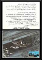 Nouvelle-Zélande (new Zeland) - Carte Maximum (card) (maximum Card - 1837 Oiseaux (bird Birds Oiseau) PETREL PLONGEUR - Storia Postale