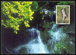 Liechtenstein - Carte Maximum (card) 2069 - N° 1196 Europa 2001 Cascade Eau Water Wasser - Cartes-Maximum (CM)