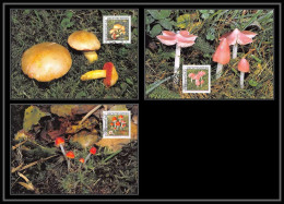 Liechtenstein - Carte Maximum (card) 2063 - N° 1193/1195 Champignons (mushrooms Pilze) 2000 - Pilze
