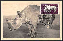 Allemagne (germany) Ddr - Carte Maximum (card) 2251 RHINOCEROS 1956 Nashorner - Rinoceronti
