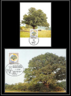 Allemagne (germany) - Carte Maximum (card) 2186 ARBRES Trees 1987 Berlin 1984 - Arbres