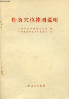 Explication Du Tableau Mural Des Points D'acupuncutre - Livre En Chinois. - Collectif - 0 - Kultur