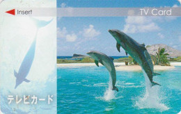 Carte JAPON Pour Télévision - ANIMAL - DAUPHIN - DOLPHIN Call JAPAN Prepaid TV Card - DELPHIN - 353 - Delfines