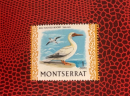 MONTSERRAT 1970 1v Neuf MNH ** YT 231 Pájaro Bird Pássaro Vogel Ucello Oiseau - Other & Unclassified