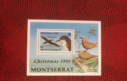 MONTSERRAT 1988 Bloc 1v Neuf MNH ** Mi Bl 47 Pájaro Bird Pássaro Vogel Ucello Oiseau - Albatros & Stormvogels