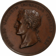 Italie, Médaille, Napoléon Ier, Couronné Roi D'Italie, 1805, Bronze, SUP - Sonstige & Ohne Zuordnung