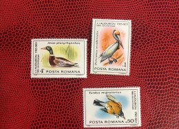 ROUMANIE 1985 3v Neuf MNH ** Pájaro Bird Pássaro Vogel Ucello Oiseau Rumänien Romania - Andere & Zonder Classificatie