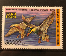 RUSSIA 1995 Birds Duck Conservation Stamp Crested Shelduck MNH - Andere & Zonder Classificatie
