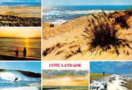40-COTE LANDAISE-N°T2742-B/0353 - Other & Unclassified