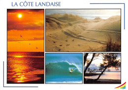 40-COTE LANDAISE-N°T2742-B/0309 - Other & Unclassified