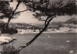 13-CASSIS-N°T2742-B/0099 - Cassis