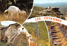 48-MASSIF DES CEVENNES-N°T2742-A/0113 - Autres & Non Classés