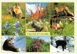 TH-ANIMAUX FAUNE ET FLORE DE NOS MONTAGNES-N°T2742-A/0037 - Other & Unclassified