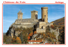 09-FOIX-N°T2743-A/0167 - Foix