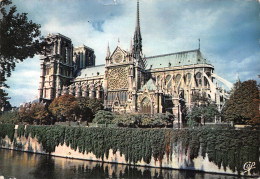 75-PARIS NOTRE DAME-N°T2742-D/0135 - Notre Dame De Paris