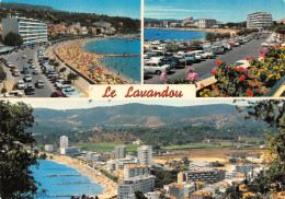83-LE LAVANDOU-N°T2743-D/0267 - Le Lavandou
