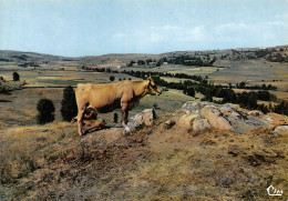 48-EN LOZERE-N°T2743-D/0069 - Autres & Non Classés