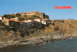 66-COLLIOURE-N°T2743-C/0075 - Collioure
