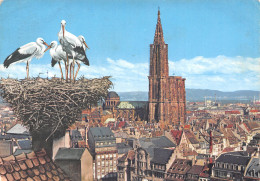 67-STRASBOURG-N°T2743-B/0149 - Strasbourg