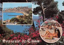 06-CANNES-N°T2744-B/0241 - Cannes