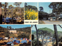 83-FORET DE JANAS-N°T2744-B/0199 - Autres & Non Classés