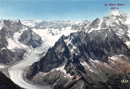 74-CHAMONIX MONT BLANC-N°T2744-B/0137 - Chamonix-Mont-Blanc