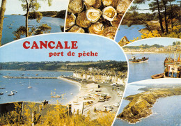 35-CANCALE-N°T2744-D/0353 - Cancale
