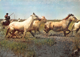 13-EN CAMARGUE-N°T2744-D/0349 - Sonstige & Ohne Zuordnung