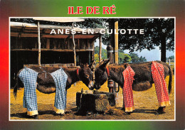 17-ILE DE RE-N°T2744-D/0131 - Ile De Ré