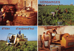 TH-VIGNES VENDANGES-N°T2744-D/0043 - Sonstige & Ohne Zuordnung