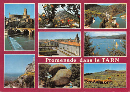 81-DANS LE TARN-N°T2744-C/0273 - Other & Unclassified