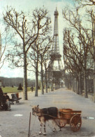 75-PARIS TOUR EIFFEL-N°T2745-B/0171 - Tour Eiffel