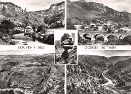 48-GORGES DU TARN-N°T2746-B/0257 - Gorges Du Tarn