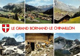 74-LE GRAND BORNAND LE CHINAILLON-N°T2746-D/0135 - Autres & Non Classés